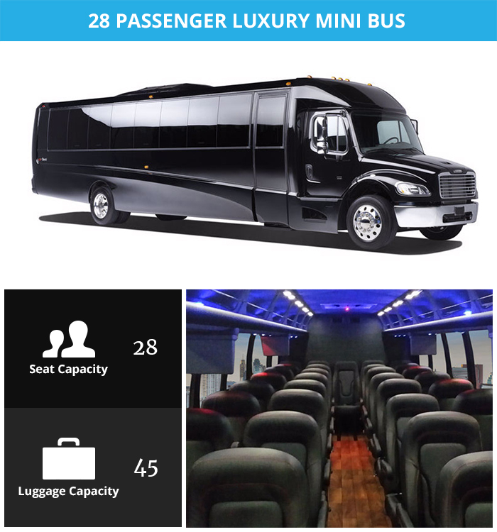 Luxury Coaches 28 Passenger Luxury Mini Bus
