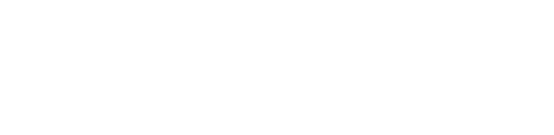 Vitesse Worldwide